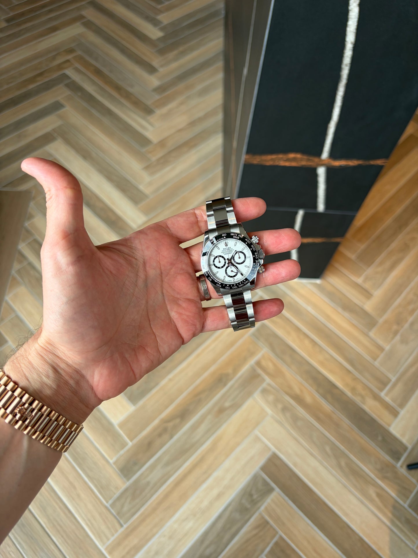 DAYTONA PANDA